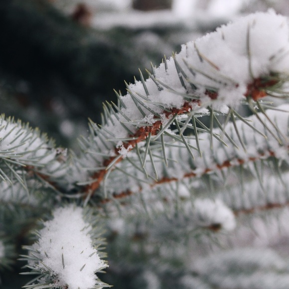 Profile Picture of Blair Martin (@bmarti6) on Poshmark