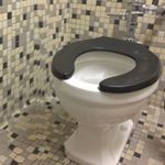 Mary Millus - Instagram Profile Picture of Mary Millus (@moderately_illus) on Instagram