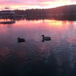 Profile Picture of Paula Crate (@cr8world) on Instagram