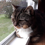 Profile Picture of Andrew Thibeault (@BruceKulick12) on Youtube