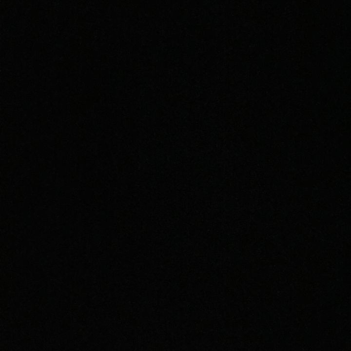 Profile Picture of Danielle Petrucci (@danielle_petrucci) on Tiktok