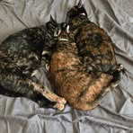 Profile Picture of Stefanie Mowrey (@stefanie.mowrey) on Facebook