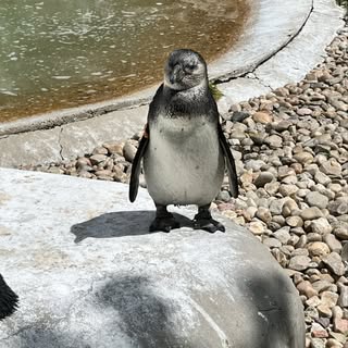 james_whitten - Instagram Profile Picture of james_whitten (@james_whitten) on Instagram