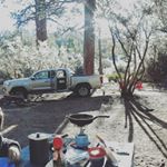 Profile Picture of james zito (@campingzitos) on Instagram