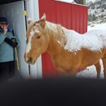 Profile Picture of jeffrey sussman (@sussmanjeffrey) on Instagram