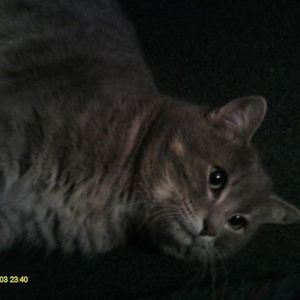 Profile Picture of Grayson Baker (@443706140) on Myspace