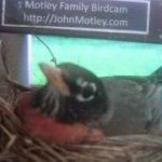 John Motley - Instagram Profile Picture of John Motley (@car3398) on Instagram