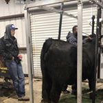 Profile Picture of Robert Erwin (@robertwerwin4_) on Instagram