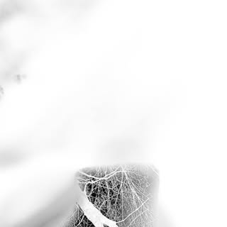 dylanbunch_ - Instagram Profile Picture of dylanbunch_ (@dylanbunch_) on Instagram