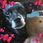 Teresa Bailey Marlatt - Instagram Profile Picture of Teresa Bailey Marlatt (@tb.marlatt) on Instagram