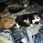 Profile Picture of David Roussel (@david.roussel.796) on Facebook