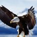 Profile Picture of Todd Harshbarger (@todd.harshbarger.58) on Facebook