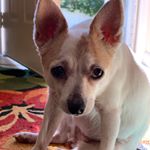 Profile Picture of marty andrews (@andrews.marty) on Instagram