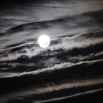 Profile Picture of Brian Dufour (@dufour_brian) on Instagram
