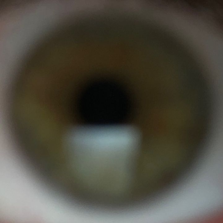 Profile Picture of Jonathon Holtzclaw (@damangler86) on Tiktok