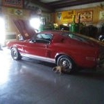 Profile Picture of consult_stang (@kennethdawsongreen) on Instagram