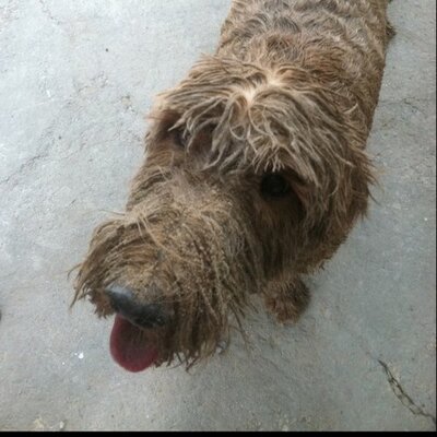 Randy Yarbrough - Twitter Profile Picture of Randy Yarbrough (@yarby59) on Twitter