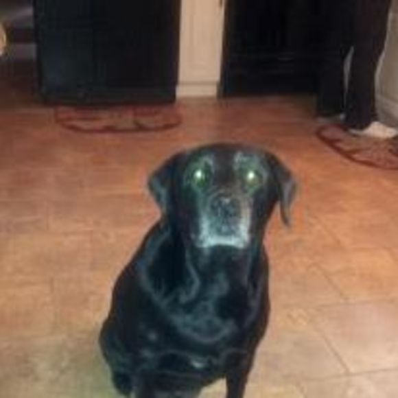 Profile Picture of Janet Wirth (@janetwirth) on Poshmark