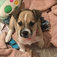 Bailey Willard - Quora Profile Picture of Bailey Willard (@bailey-willard-6) on Quora