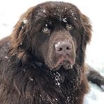 Profile Picture of kellicalder10 (@kellicalder10) on Instagram