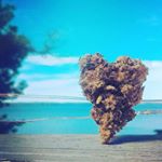 Profile Picture of Traverse City Bud by GangeLife (@gangelife) on Instagram