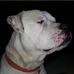 Profile Picture of Matthew Harlan (@matthew.harlan.940) on Facebook