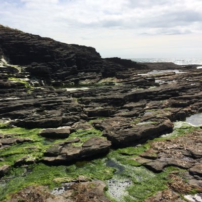 Profile Picture of Tom Rooney (@oldmanrooney) on Twitter