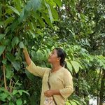 Profile Picture of Patchina Dio Sangma (@diosangmapatchina) on Instagram