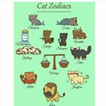 Profile Picture of sonja_sachse (@sonja_sachse) on Instagram