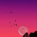 Profile Picture of Tanya Cadenas (@tanyacadenas) on Instagram