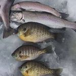 Profile Picture of Jacob Heidtman (@jacobheidtman) on Instagram