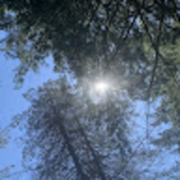 Profile Picture of K Cornfeld (@kcornfeld) on Poshmark