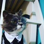 Profile Picture of Matthew hixon (@mr._masew) on Instagram