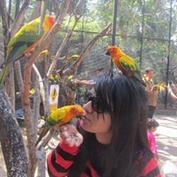 Profile Picture of Roopa Gowda (@roopa-gowda-3) on Quora