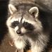 Profile Picture of Grayson Wolfe (@grayson.wolfe.9) on Facebook