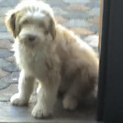Profile Picture of Sailesh Joy Gokhool (@cam00116) on Twitter