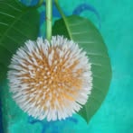 Profile Picture of Karisma Podh (@Karisma-Podh) on Facebook