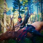 Profile Picture of Clark Allen (@clarkallen5827) on Instagram