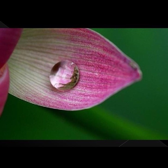 Profile Picture of Afrodite M (@v552002) on Poshmark