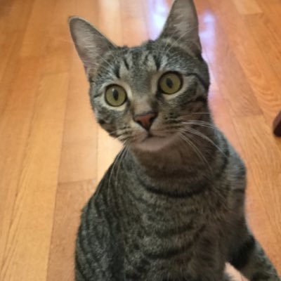Profile Picture of Aaron Chadwick (@polkadude) on Twitter