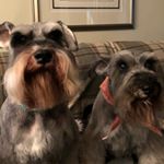 Profile Picture of Thomas MacEachern Flatt (@thomasmaceachernflatt) on Instagram