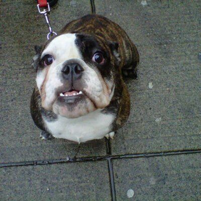 Profile Picture of Jay Weisbrod (@BDJay) on Twitter