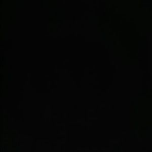 Profile Picture of Adam Pulman293 (@adampulman293) on Tiktok