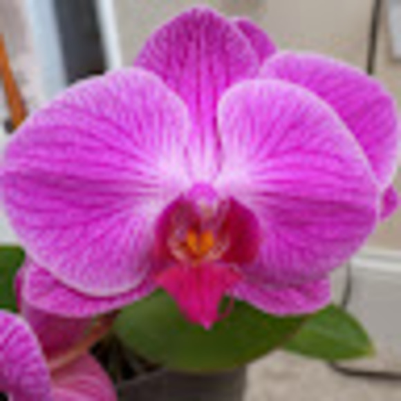 Marissa Lucento - Poshmark Profile Picture of Marissa Lucento (@malu202023) on Poshmark