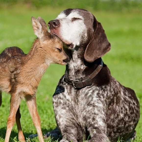 Profile Picture of Emma Nold (@enold541) on Poshmark