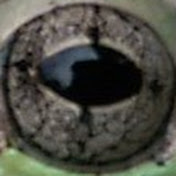 Profile Picture of Jon Shannon (@jonshannon7438) on Youtube