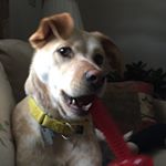 Profile Picture of jason (@jason__irwin) on Instagram