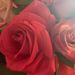Profile Picture of Paula (@paulatowle25) on Pinterest