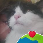 Profile Picture of Patricia Hellman (@patricia.hellman) on Instagram