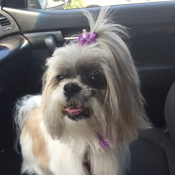 Teri Tivnan - Poshmark Profile Picture of Teri Tivnan (@teritiv) on Poshmark